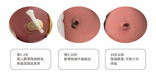 2023-6-duqi01 2023-6-duqi01.jpg